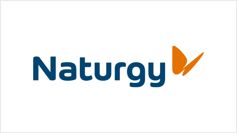 Naturgy - logo