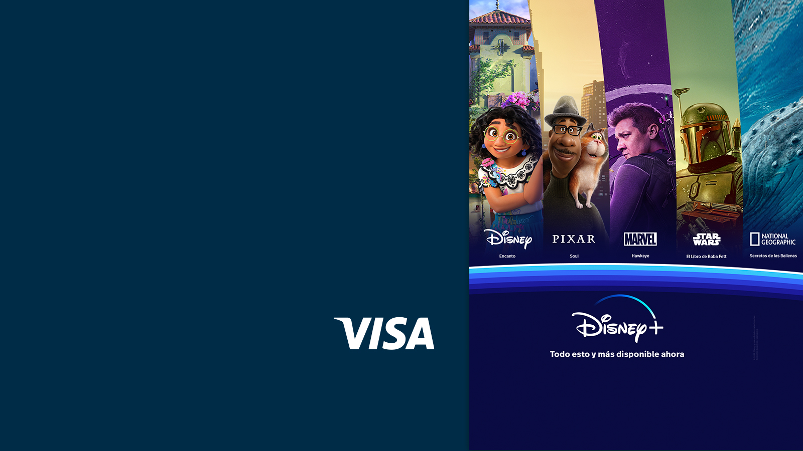 Disney+ Visa